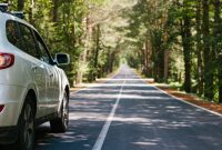 5 Steps to Prep Your Car for a Road Trip Steps To Prepare Your Car For Long Road Trips