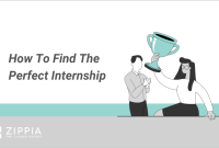 How To Find Internships Related To My Field Of Study