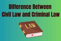 What Are The Differences Between Civil And Criminal Law?