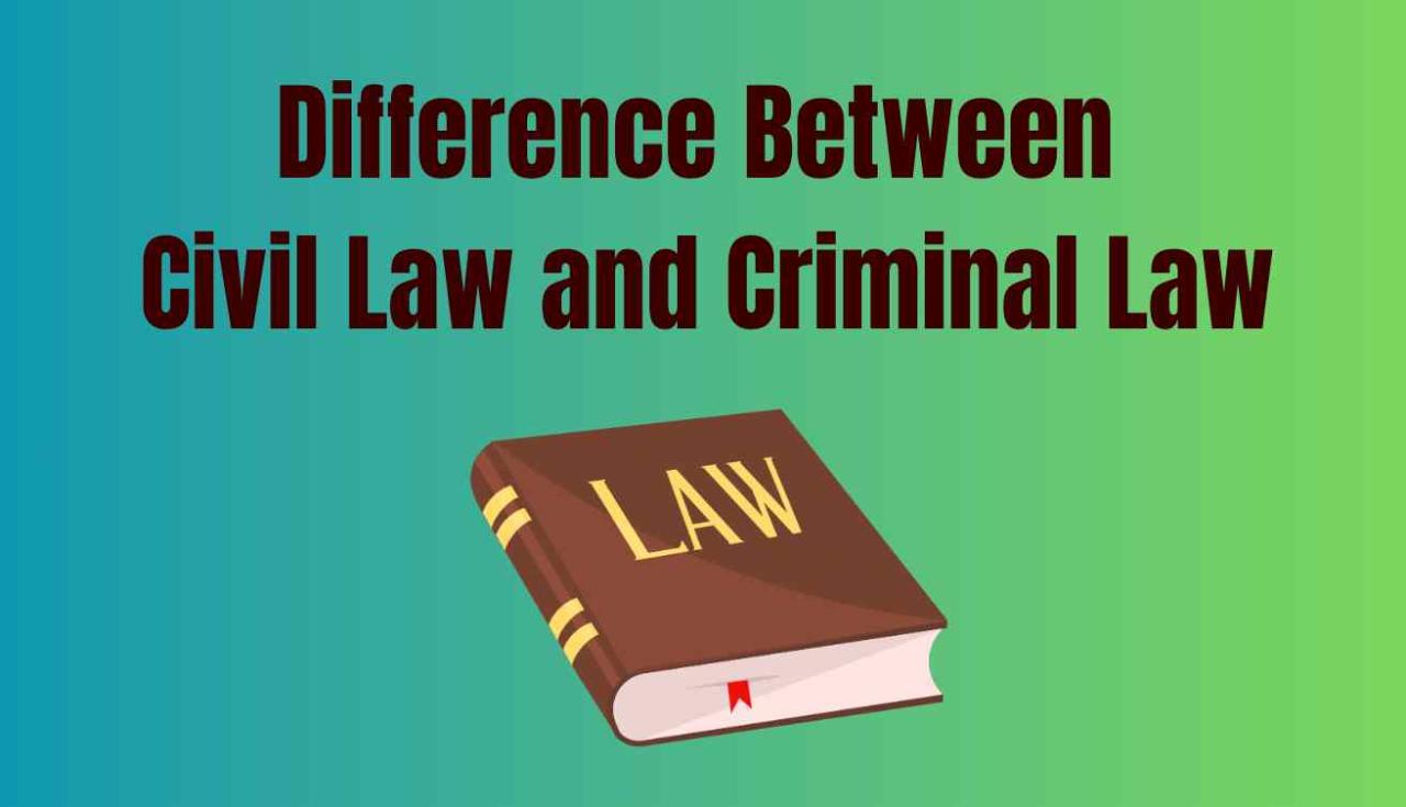 What Are The Differences Between Civil And Criminal Law?