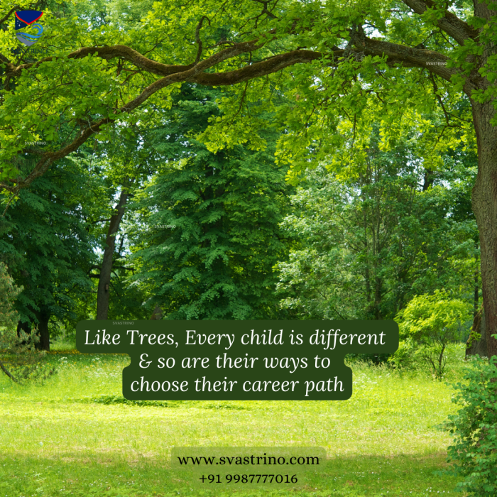 How To Choose The Right Career Path For Me