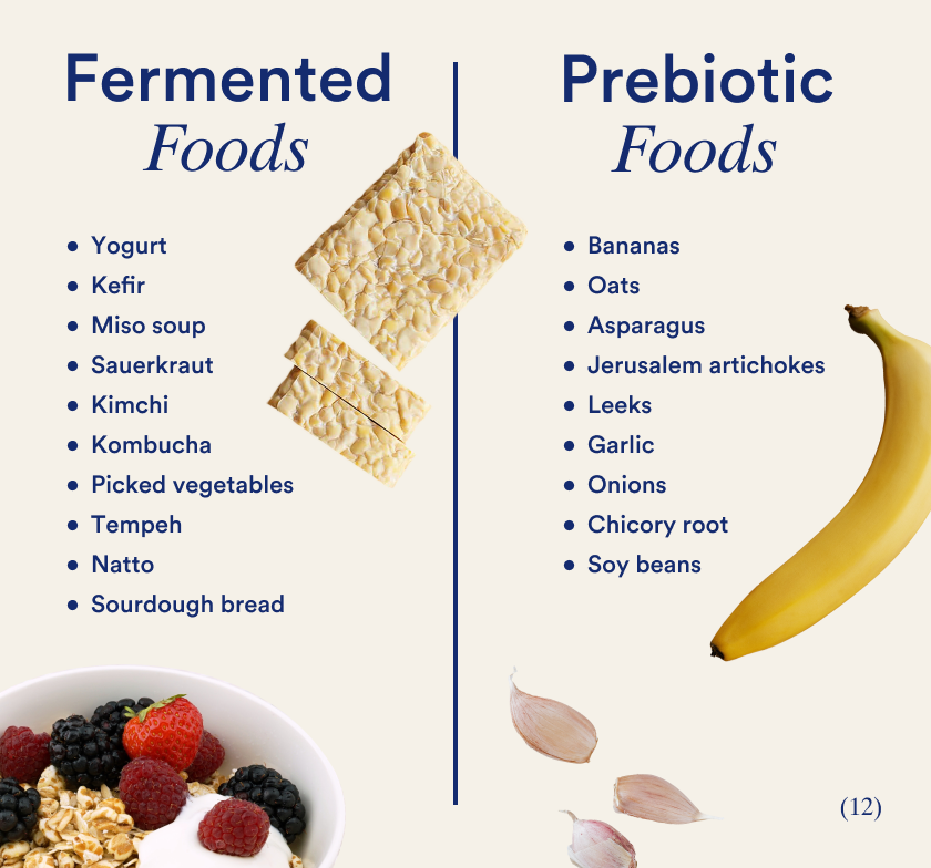 What Are The Differences Between Probiotics And Prebiotics
