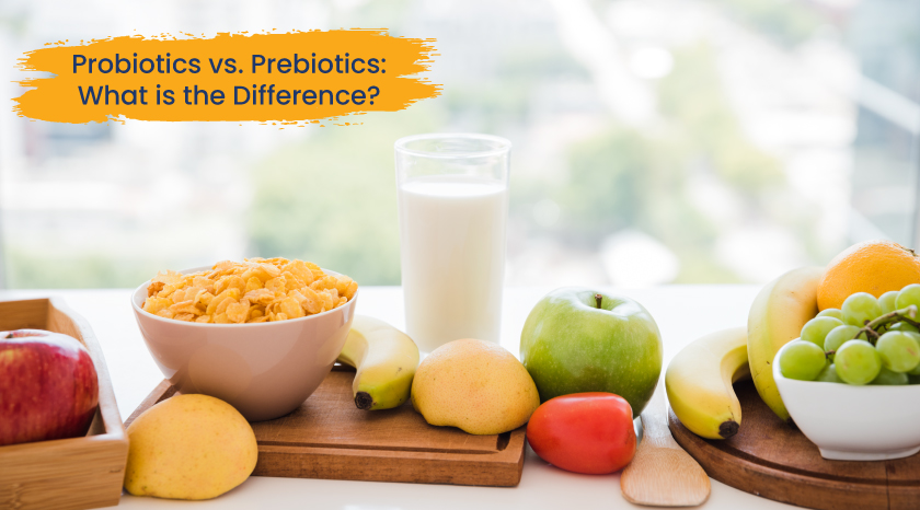 What Are The Differences Between Probiotics And Prebiotics
